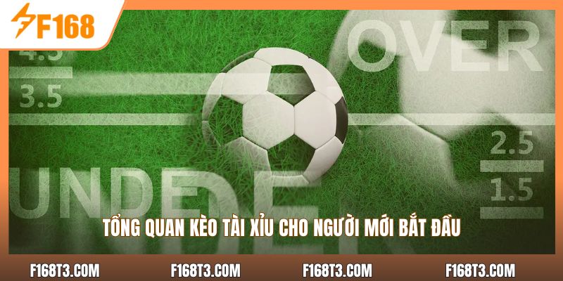 Tổng quan kèo tài xỉu cho người mới bắt đầu